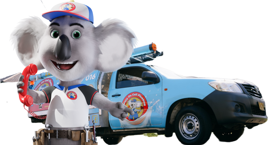 Book your plumbing service right now Book your plumbing service right now