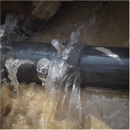 Burst Water Pipes